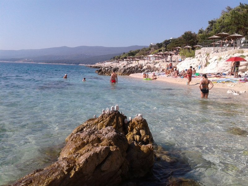 20160827_100201 01.jpg